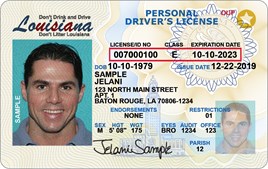 Image - Sample Louisiana Driver's License